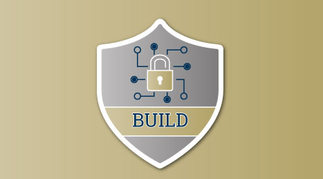 Build Cybersecurity Capability