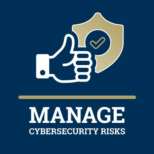 Manage Cybersecurity Risks